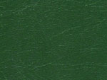 green hardcover leather