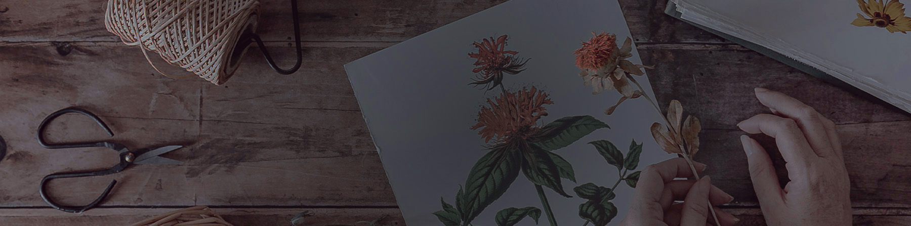 print your own art photography book