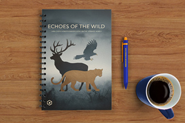 spiral art photography printing