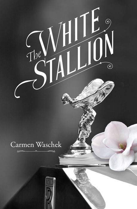 book cover design stallion